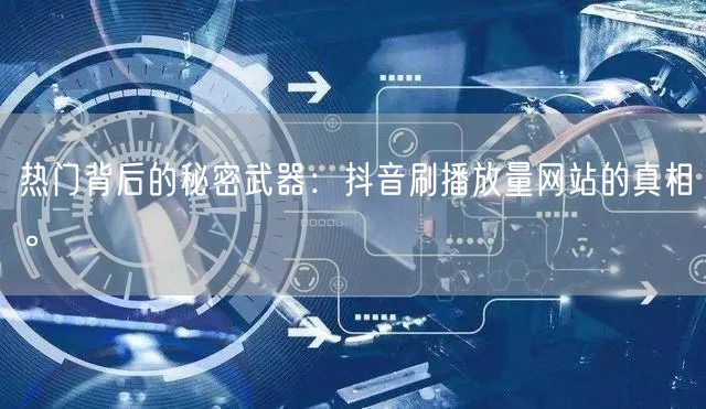 热门背后的秘密武器:抖音刷播放量网站的真相。