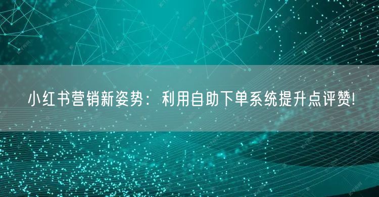 小红书营销新姿势：利用自助下单系统提升点评赞!
