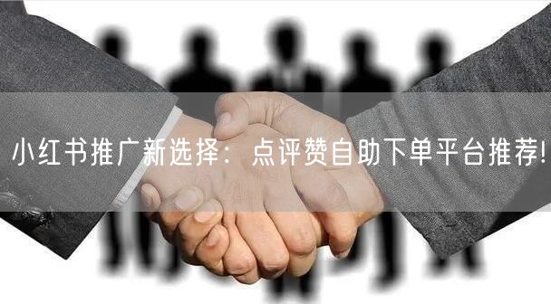 小红书推广新选择:点评赞自助下单平台推荐!