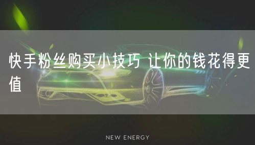 快手粉丝购买小技巧 让你的钱花得更值