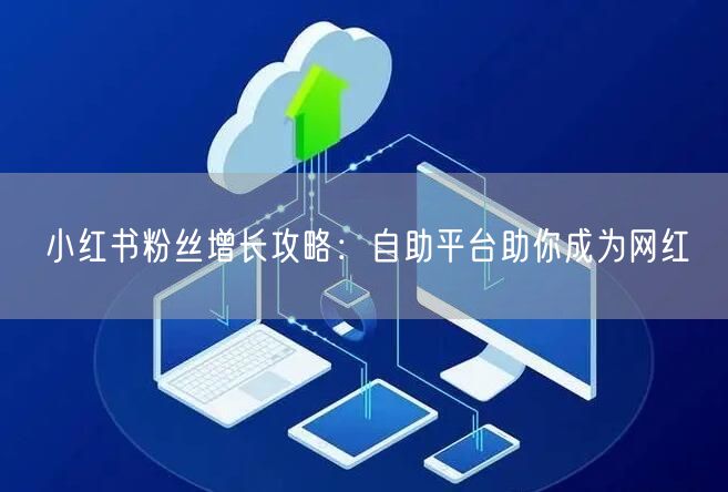 小红书粉丝增长攻略:自助平台助你成为网红
