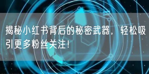 揭秘小红书背后的秘密武器,轻松吸引更多粉丝关注!