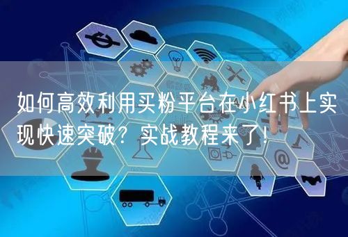 如何高效利用买粉平台在小红书上实现快速突破?实战教程来了!