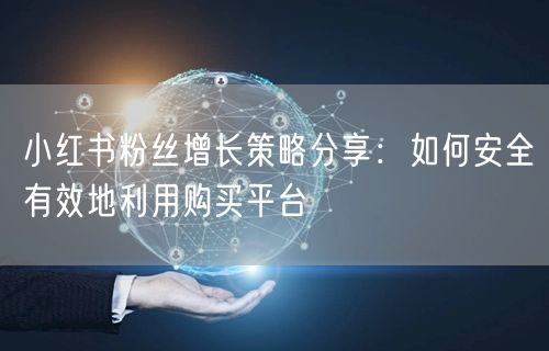 小红书粉丝增长策略分享:如何安全有效地利用购买平台