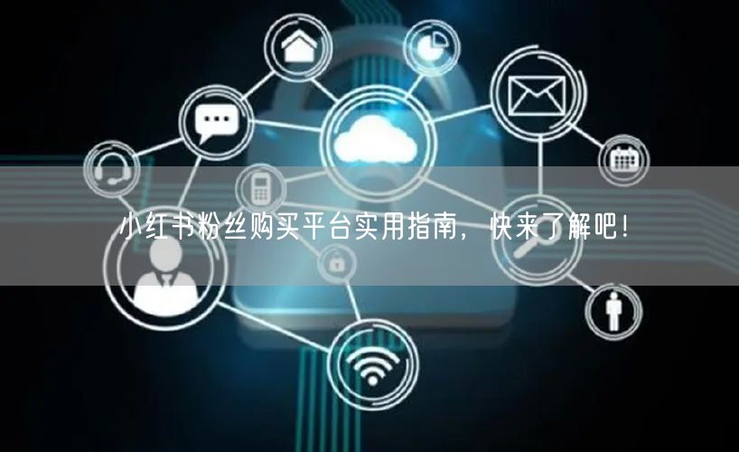 小红书粉丝购买平台实用指南,快来了解吧!