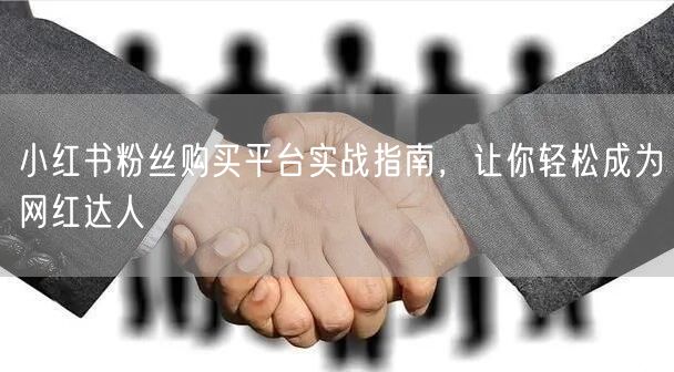 小红书粉丝购买平台实战指南,让你轻松成为网红达人
